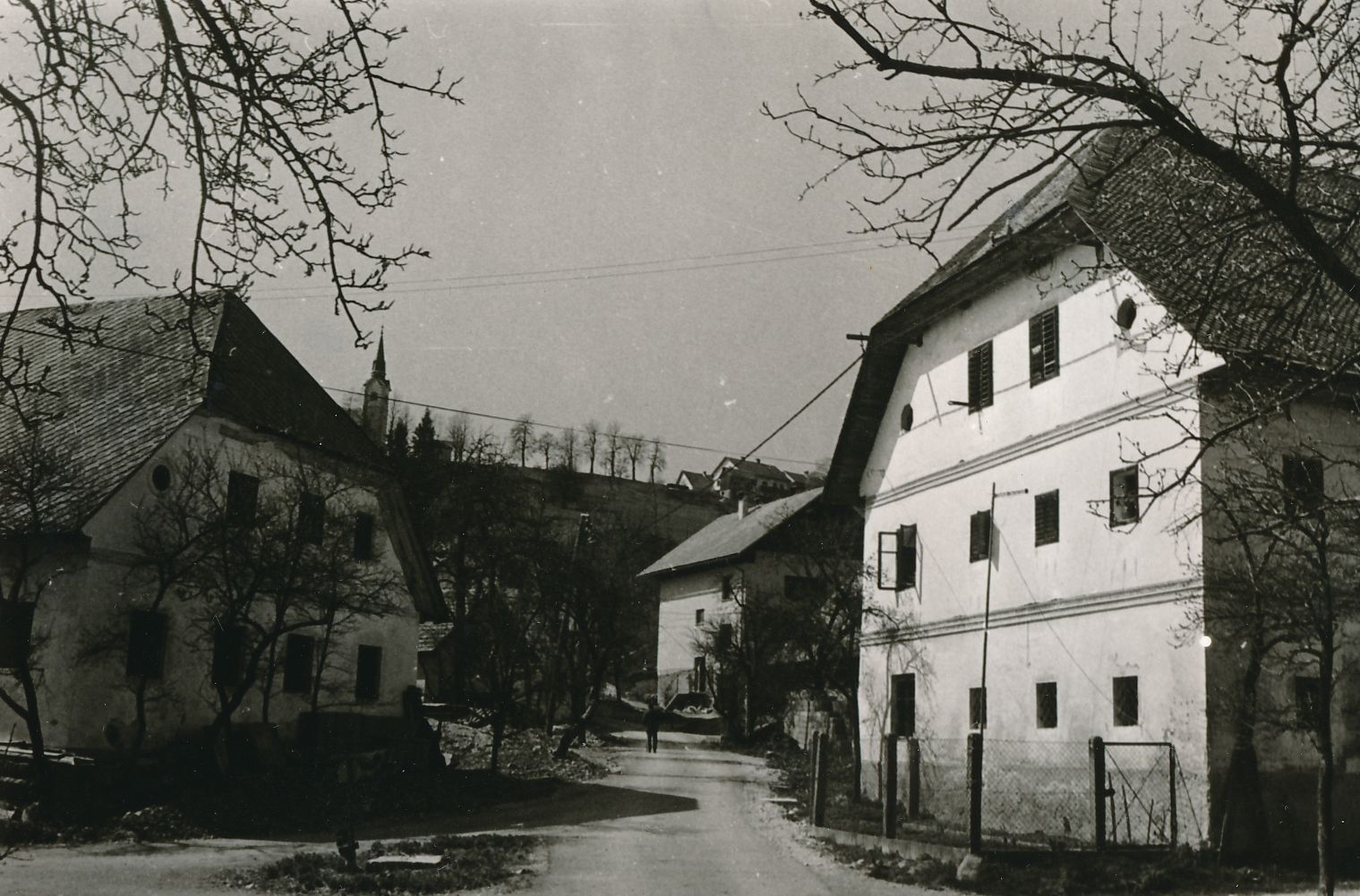 eika image